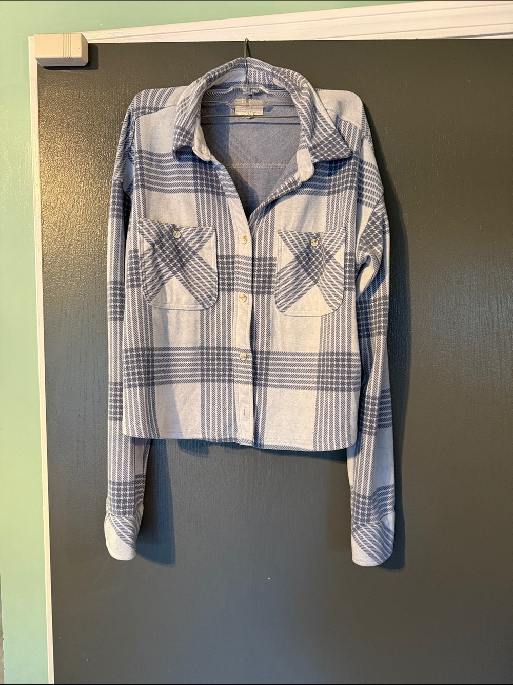Thread & Supply Light Blue and White Plaid Cropped Button-Up Shirt